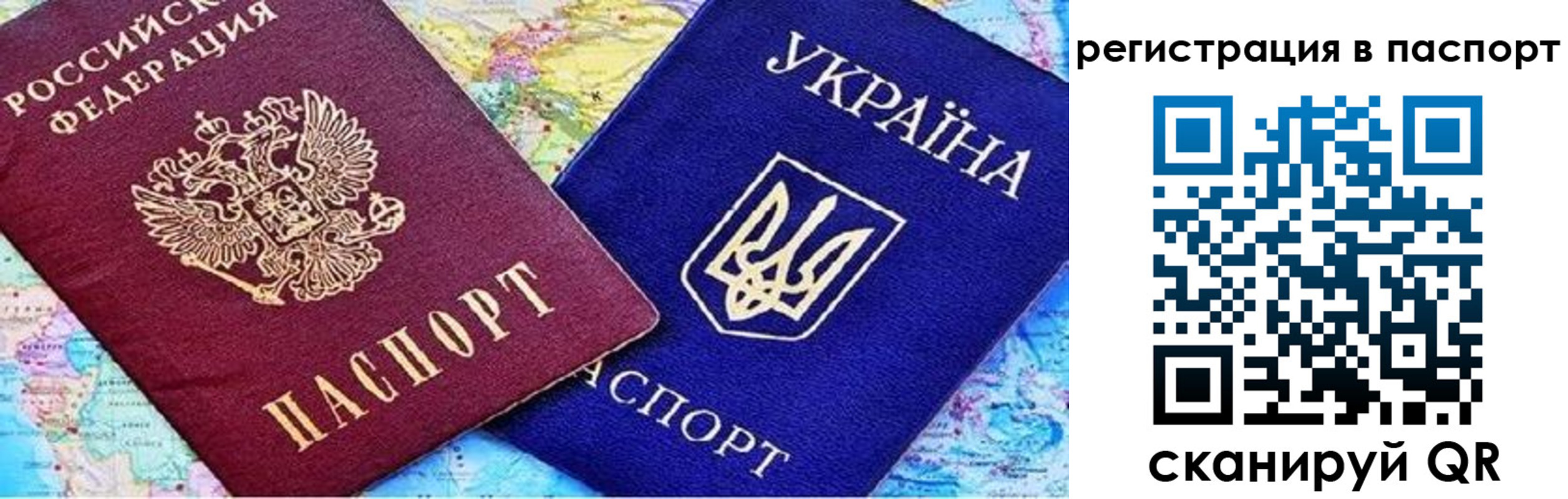 прописка гарантия в Александрове