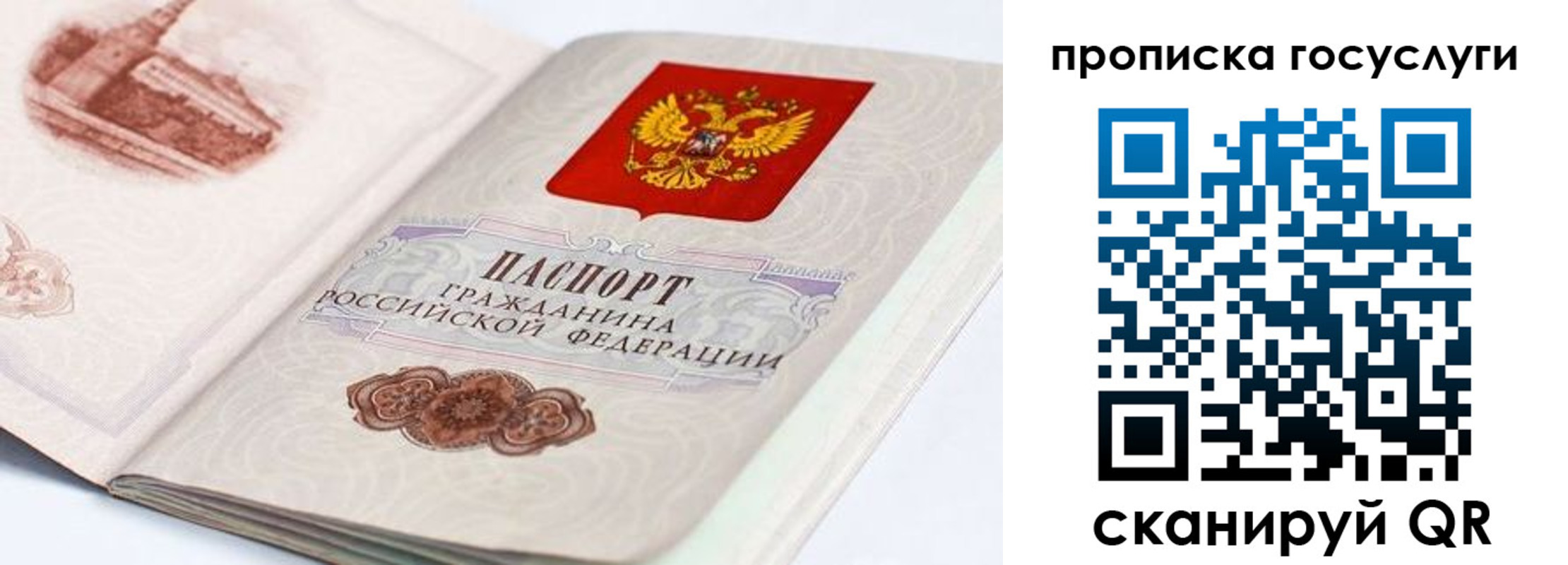 прописка регистрация в Александрове